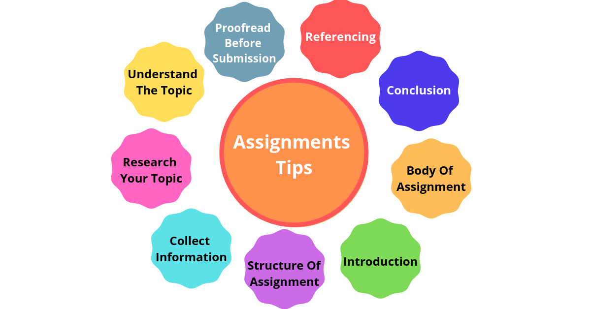 Tips To Write An Assignment For College